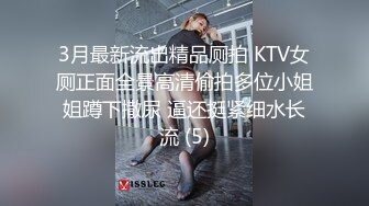 国产麻豆AV 番外 麻豆导演系列 办公室性骚扰 女职员的性惩罚 李文雯