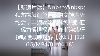 绿王八的平乳老婆