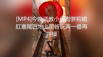 【皇家华人】ras-093 丧屍巨棒污巨乳清纯妹 小夜夜