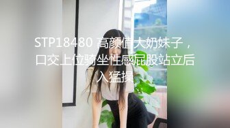 [MP4/ 461M] 爆乳户外美娇娘性感情趣诱惑公园勾引散步路人，到一半差点翻车来了很多游客换地接着干