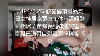 【JaneFishers】-完美胸型的白人主播，露脸自慰【33V】 (17)