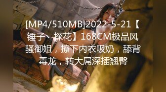 [MP4/510MB]2022-5-21【锤子丶探花】168CM极品风骚御姐，撩下内衣吸奶，舔背毒龙，转大屌深插翘臀