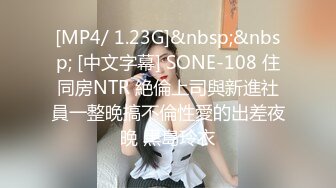 [MP4/ 1.23G]&nbsp;&nbsp; [中文字幕] SONE-108 住同房NTR 絶倫上司與新進社員一整晚搞不倫性愛的出差夜晚 黑島玲衣