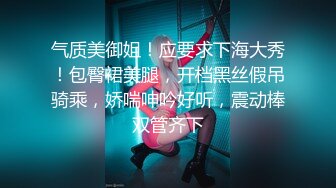 [MP4]PMA007 蜜桃影像传媒 我送女友包女友让我操她鲍 美琳 VIP0600