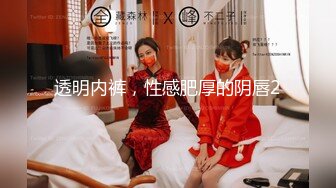 《小姐姐㊙️淫妻盛宴》3P的快乐，一般人体会不到，尤其是女主角是自己的老婆 直呼她从来没有这样爽过 老婆满足了我也高兴