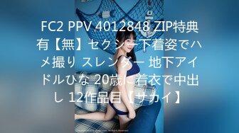 FC2 PPV 4012848 ZIP特典有【無】セクシー下着姿でハメ撮り スレンダー 地下アイドルひな 20歳に着衣で中出し 12作品目【サカイ】