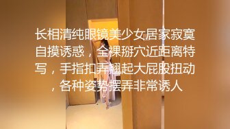 [MP4]圆润美臀少妇居家夫妻JQ啪啪，特写口交舔屌拨开内裤掰穴，翘起屁股隔着内裤摸逼，第一视角后入一下下撞击