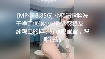 狗绳子遛狗，养过大型犬的都认得出来吧，用的是p链