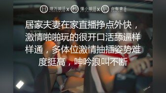 人前教师人后母狗