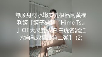 爆顶身材水嫩美乳极品网黄福利姬「姬子猫」「Hime Tsu」OF大尺度私拍 白虎名器肛穴自慰双插【第二弹】 (2)