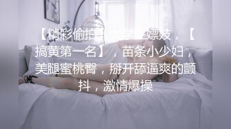 高颜值短发妹子情趣尾巴乳夹自摸诱惑 露奶露逼自摸特写非常诱人 很是诱惑喜欢不要错过!