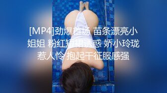 B站170长腿妹【芋圆有点甜】性感空姐写真丝袜美腿巨乳+热舞视频