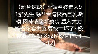 [MP4]STP32933 麻豆传媒 MCY0236 痴女记者硬上嘉宾大富豪 凌薇 VIP0600