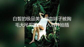 星空传媒XKVP013大哥外出应酬趁机强上性感小嫂子