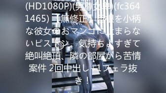 少女戦机ソウルイーター「復讐の美少女・円城命」