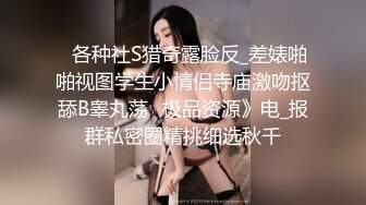 『二十三』巨乳人妻性爱自拍 平面模特与金主性爱记录精选十位高颜反差妹纸生活淫乱私拍甄选