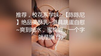 露脸才是王道！OF清纯可爱巨乳妹子【宫本山酒】订阅福利，海边露出道具紫薇，表里不一纯纯的反差母狗 (6)