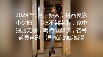 2024年1月，新人，极品良家小少妇，【衣不染尘】，家中独居无聊，喝点酒醉了，各种道具自慰，湿漉漉的蝴蝶逼