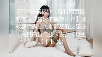 2024重磅核弹，推特网黄极品骚婊【露娜的異想世界】调教超市露出啪啪野战肛交足交，高挑白皙气质长发女神级别【上】 (1)