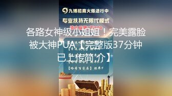 各路女神级小姐姐！完美露脸被大神PUA【完整版37分钟已上传简 介】