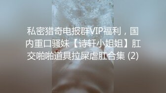 私密猎奇电报群VIP福利，国内重口骚妹【诗轩小姐姐】肛交啪啪道具拉屎虐肛合集 (2)