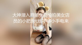 大神潜入商场女厕偷拍美女店员的小肥B光线不够小手电来凑