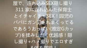 百戦錬磨のナンパ师のヤリ部屋で、连れ込みSEX隠し撮り 311 家に连れ込んだ保育士とイチャイチャSEX！园児のパパにガン见されまくってるであろうおっぱい(推定Gカップ)を揉みしだく优越感！隠し撮り+ハメ撮りでエロすぎる体を堪能！