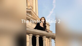 The Perfect Maid 2