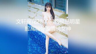 文轩探花2800网约极品明星脸高端外围清纯女神